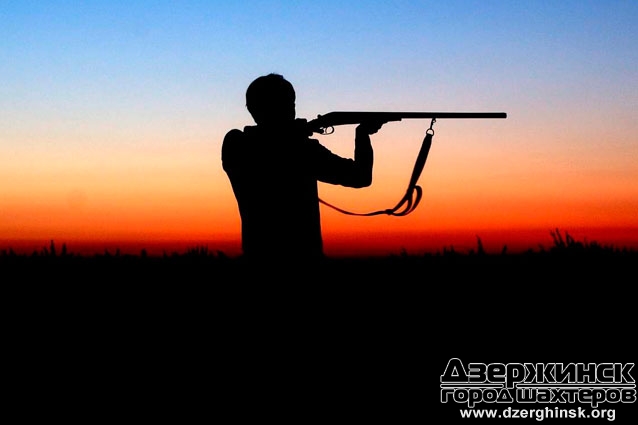 В Донецкой области снова будут отстреливать животных