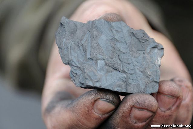 Без черного золота. Украина теряет угольную отрасль