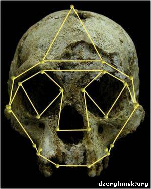 Исследование доказало, что череп «хоббита» не является человеческим