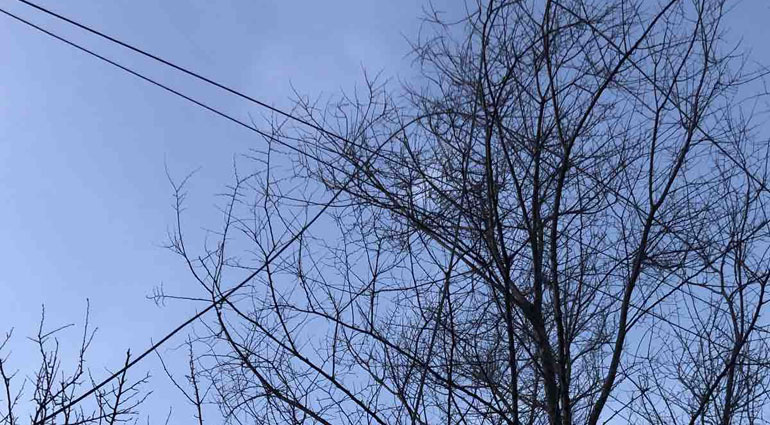 ДТЭК Донецкие электросети продолжает восстановление сетей: за сутки свет вернулся в еще более 1 тысячи домов