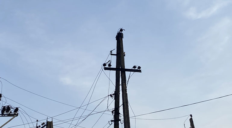 За двое суток ДТЭК Донецкие электросети смог вернуть электричество в 6,8 тысяч домов