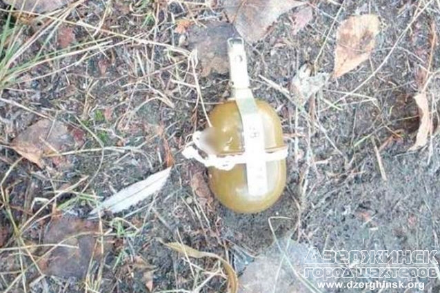 У жительницы Святогорска нашли гранату