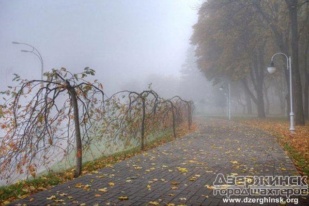 Какой будет погода в первые выходные ноября: прогноз синоптика