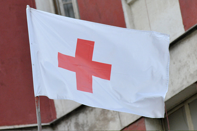 Красный Крест направил в «ДНР» 95 тонн гумпомощи