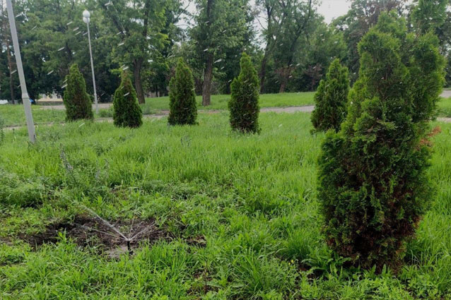 Продолжается реализация проекта реконструкции центрального городского парка в Торецке