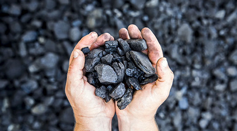 Добыча угля на Донбассе в этом году выросла