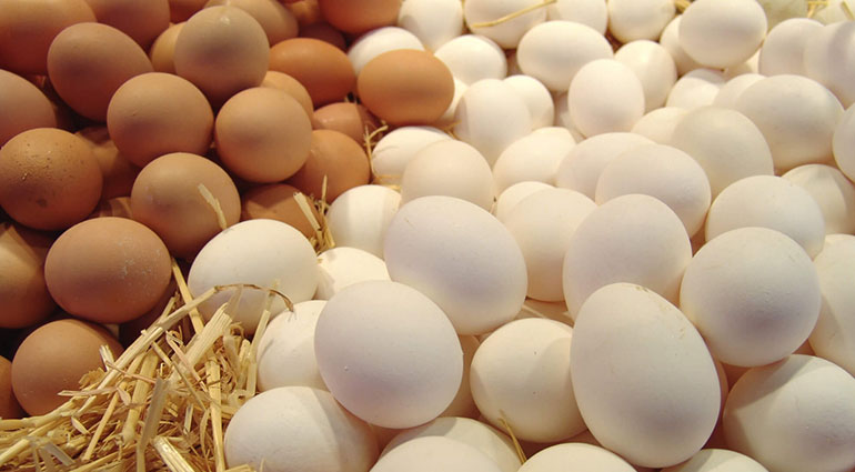Яйца в Украине продолжат дорожать