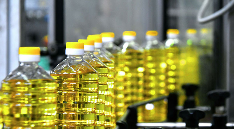 О цене на подсолнечное масло после уборки урожая рассказали эксперты