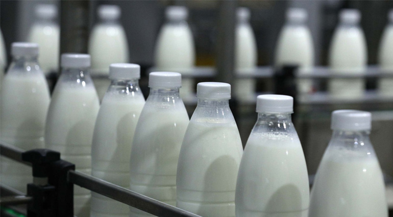 В Торецке будут реализовывать социальное молоко