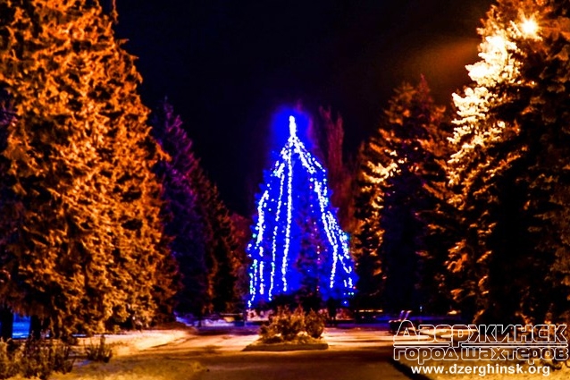 Новогодними огнями зажглась главная елка города