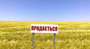 Продажа земельных участков в Украине на аукционе