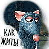 stara17 stara17